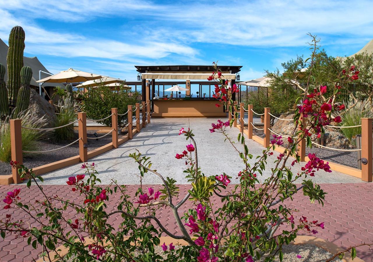 Villa Del Palmar At The Islands Of Loreto Loreto  Eksteriør bilde